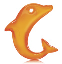 abonamentul Delfin
