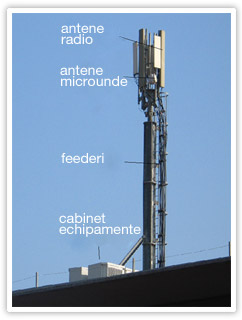 telefonia mobilã si sãnãtatea