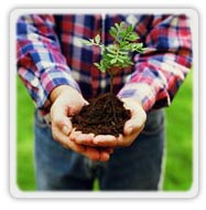 environment