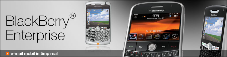 BlackBerry&reg; Enterprise