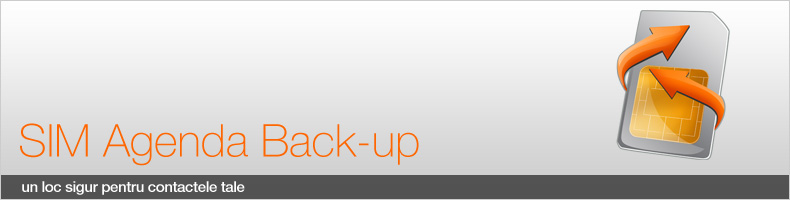 SIM Agenda Back-up