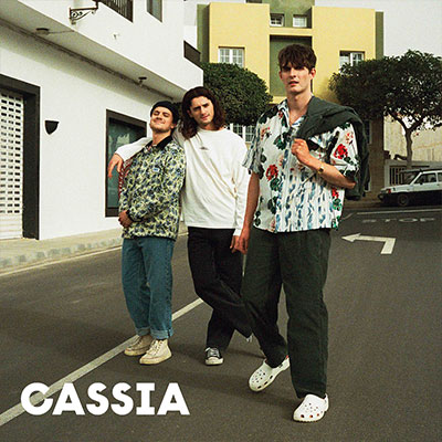 Cassia